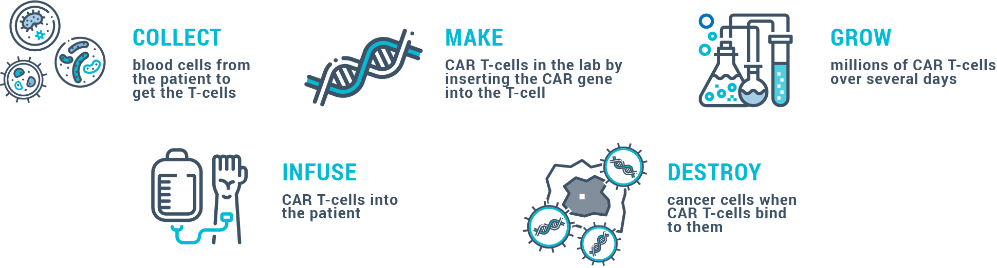 How CAR T-Cell Immune Therapy Works
