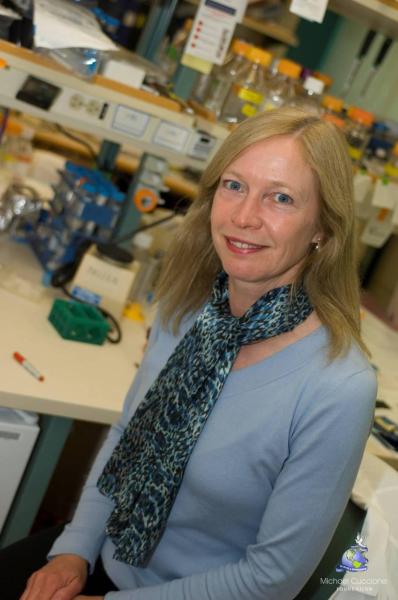  Dr. Catherine Pallen 